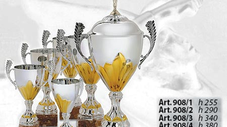 Coppe e trofei, premio al merito per eventi