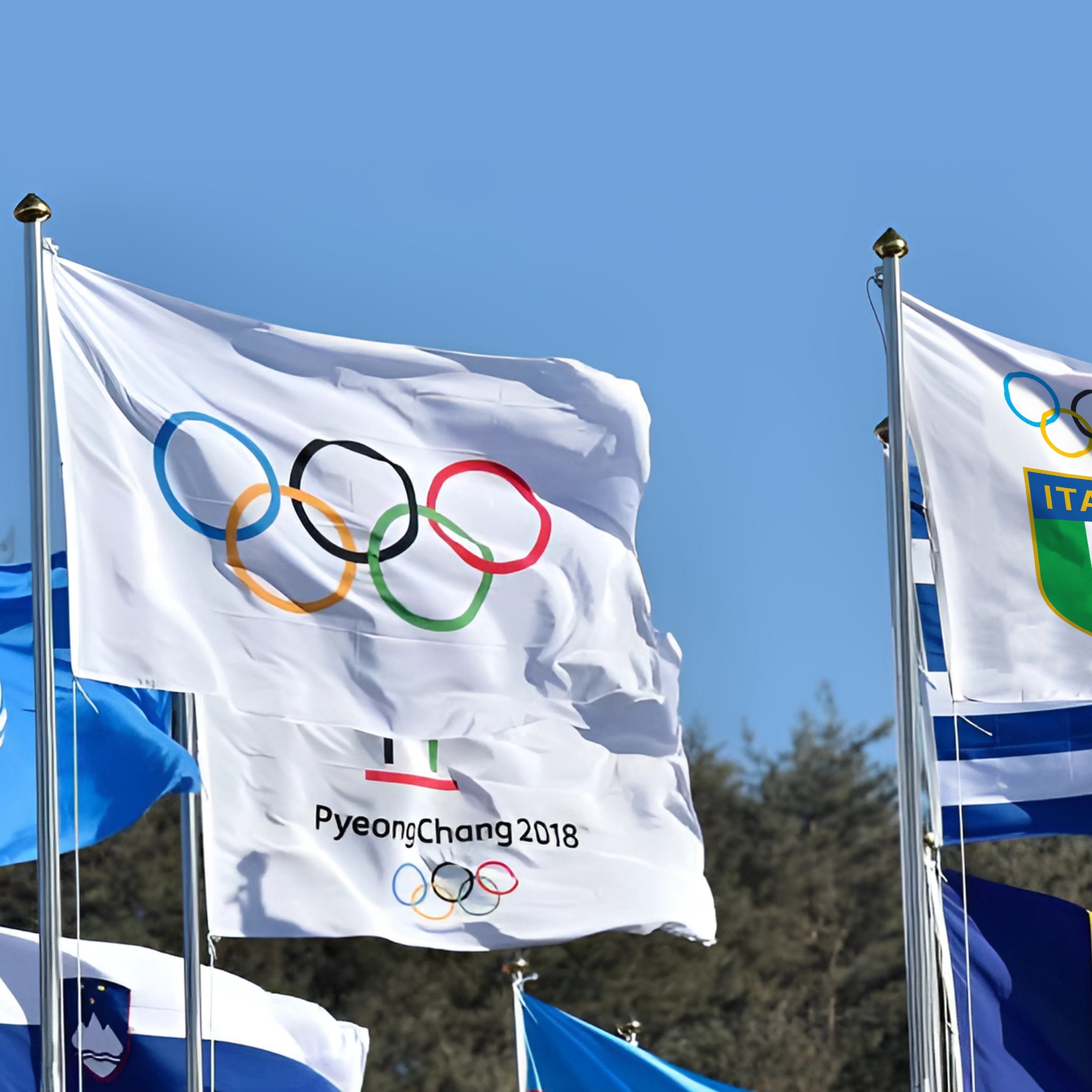 Bandiere Istituzionali