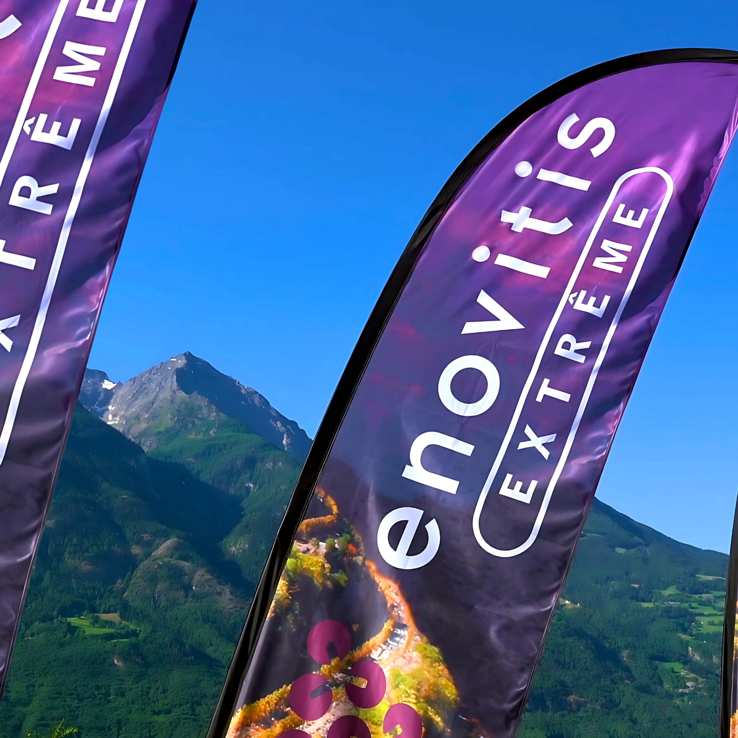 Bandiere Vela e Goccia