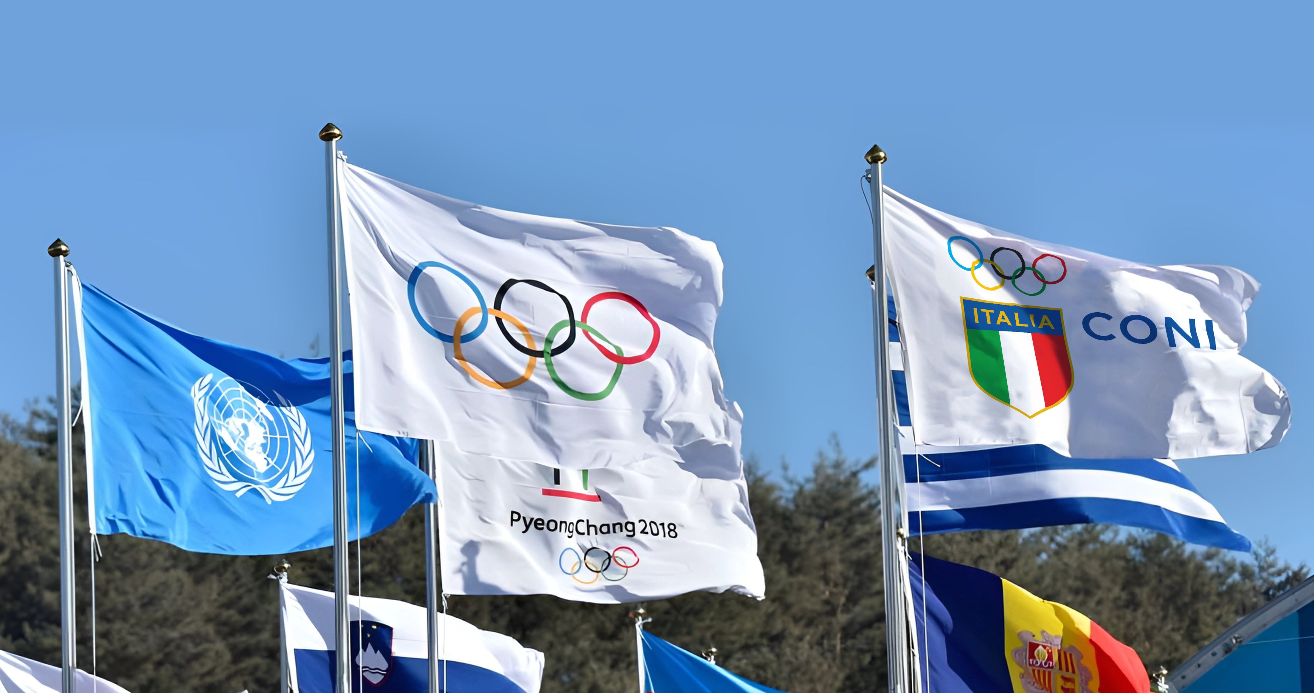 Bandiere Istituzionali