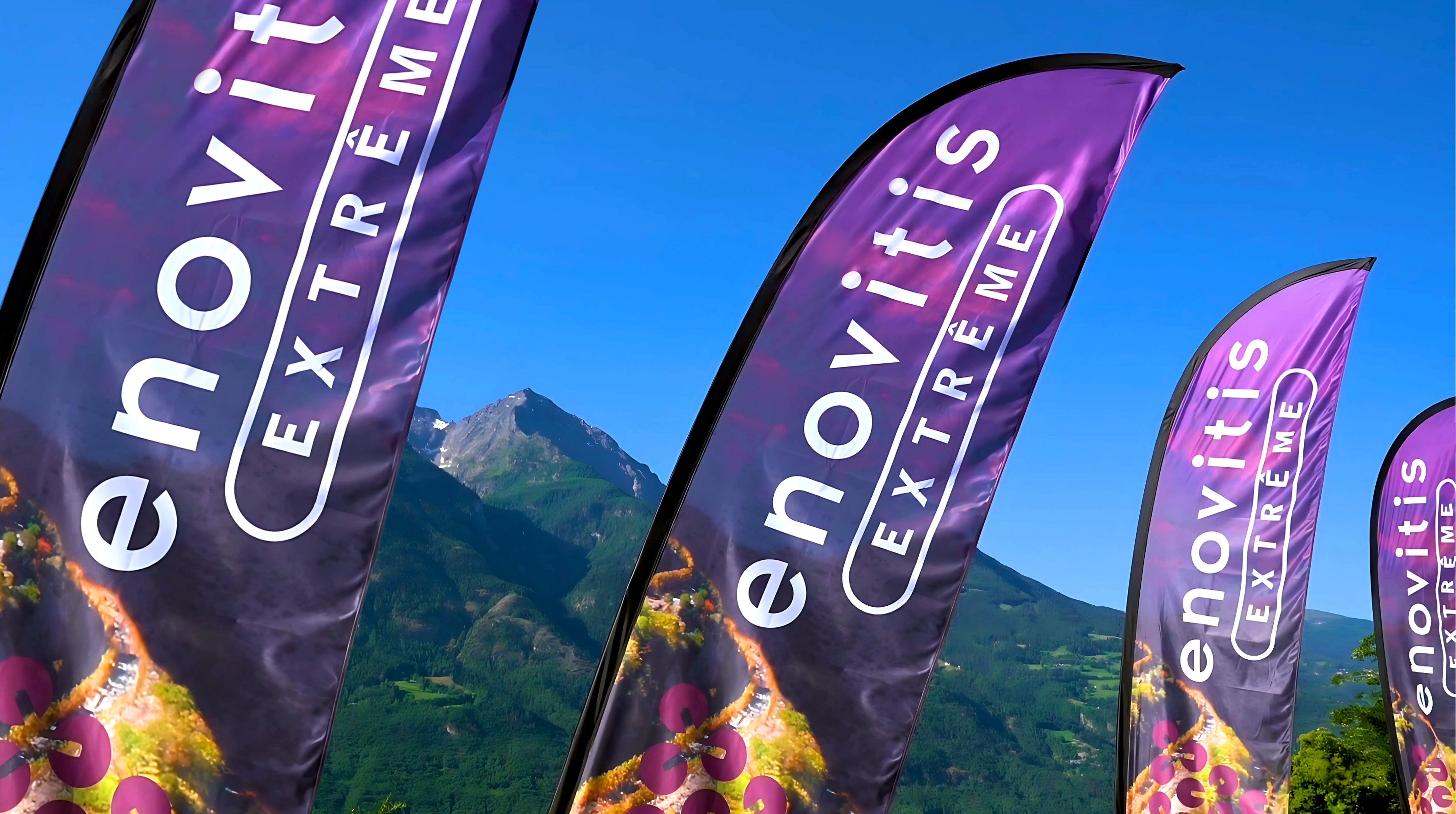 Bandiere Vela e Goccia