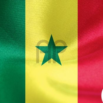 SHATCHI Grand drapeau du Sénégal en polyester avec œillets en